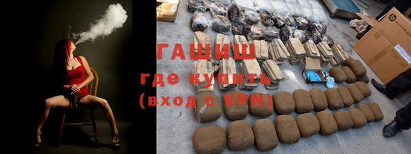 сатива Инта
