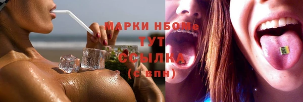 сатива Инта