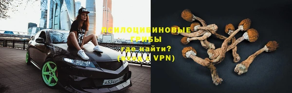сатива Инта