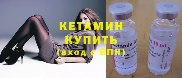 сатива Инта