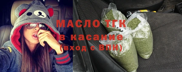 сатива Инта
