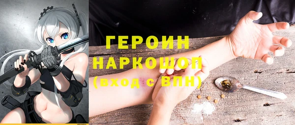 сатива Инта