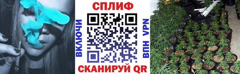 Купить где  Нелидово  Бошки марихуана OG Kush 